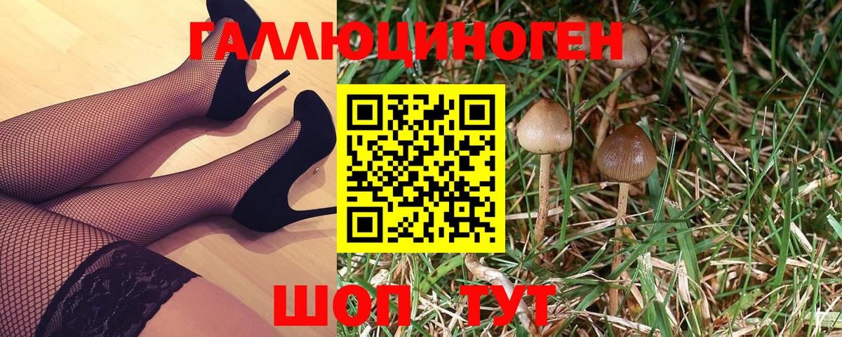 Псилоцибиновые грибы MAGIC MUSHROOMS  Вход с VPN  Ливны 