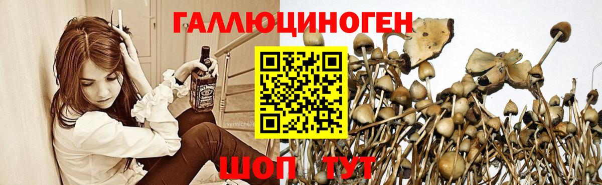 Псилоцибиновые грибы Psilocybine cubensis Ливны
